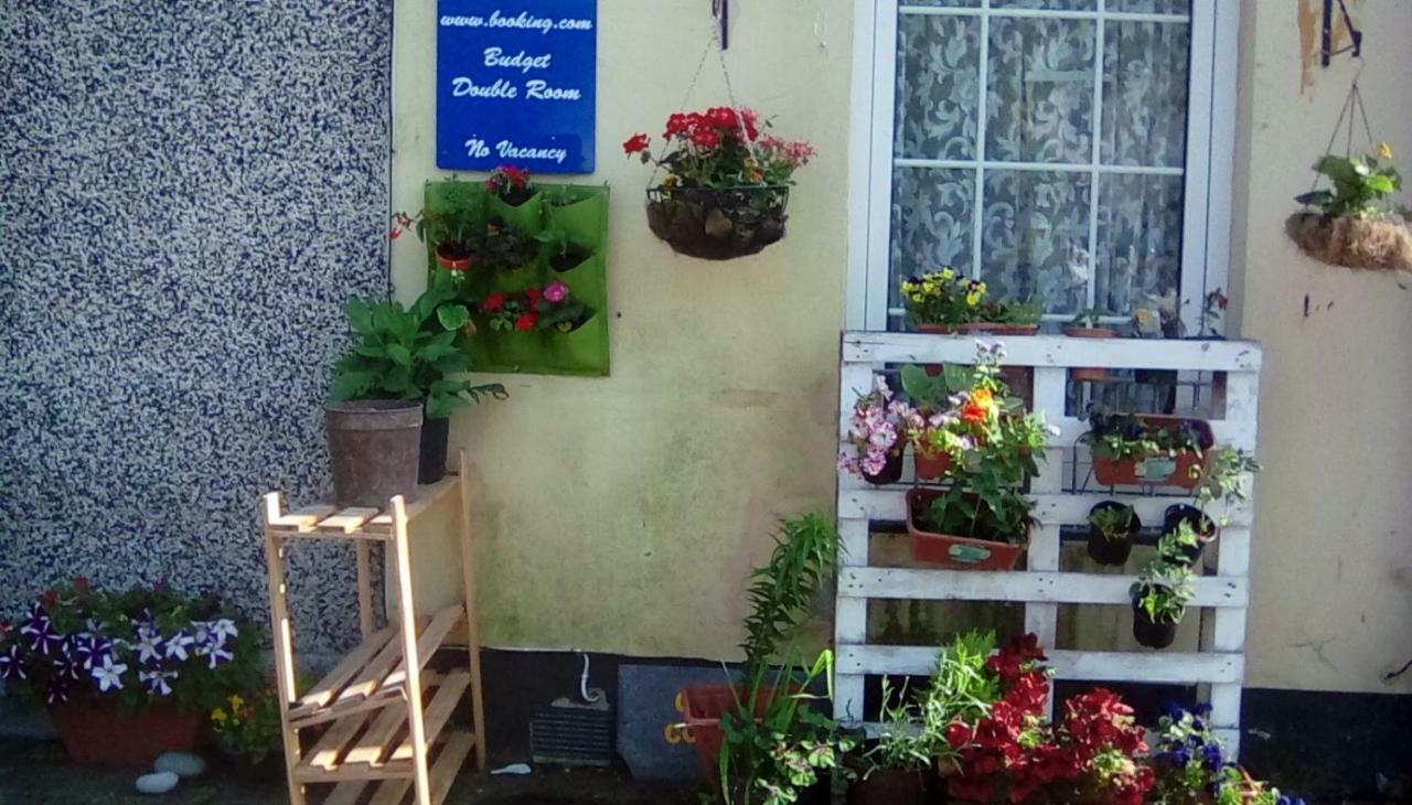 City Cottage Guest House Plymouth Buitenkant foto